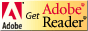 Download Adobe Acrobat Reader.