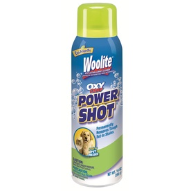 UPC 011120007336 product image for Woolite 14-oz Carpet Cleaner | upcitemdb.com