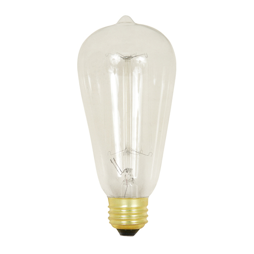 Zoomed: Feit Electric Feit 60 Watt ST19 Vintage Bulb