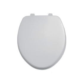 Round Silver Toilet Seat