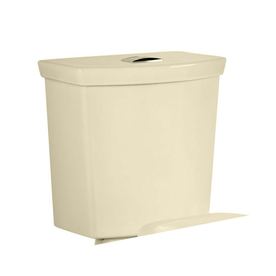 UPC 033056737088 product image for American Standard H2Option Bone 1.6; 1.0-GPF 12-in Rough-In Dual-Flush Toilet Ta | upcitemdb.com