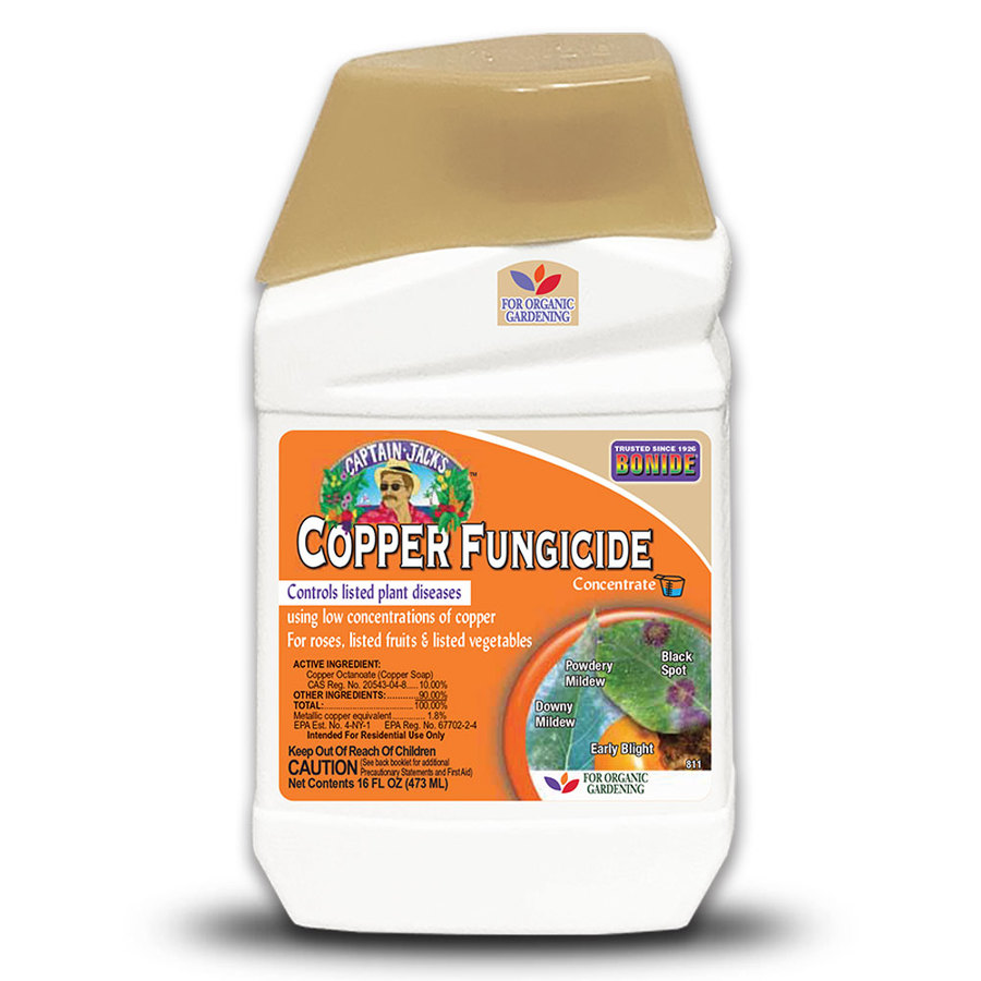 Shop Bonide 16-oz Copper Fungicide Concentrate Liquid at Lowes.com