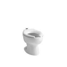 UPC 040688166964 product image for KOHLER Wellcomme Standard Height White 10-in Rough-In Elongated Toilet Bowl | upcitemdb.com