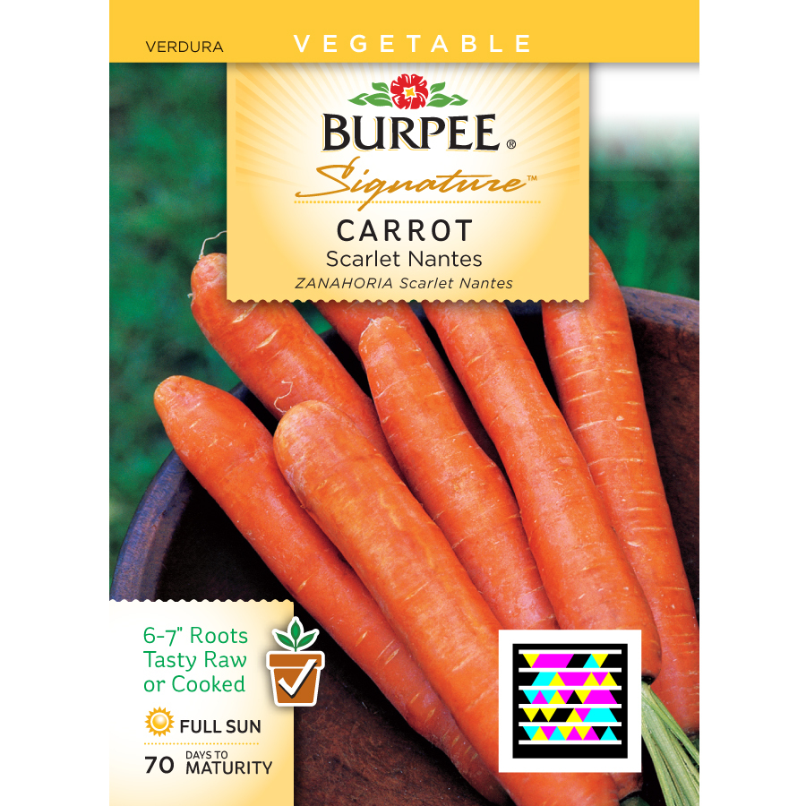 Shop Burpee Carrot Vegetable Seed Packet at Lowes.com