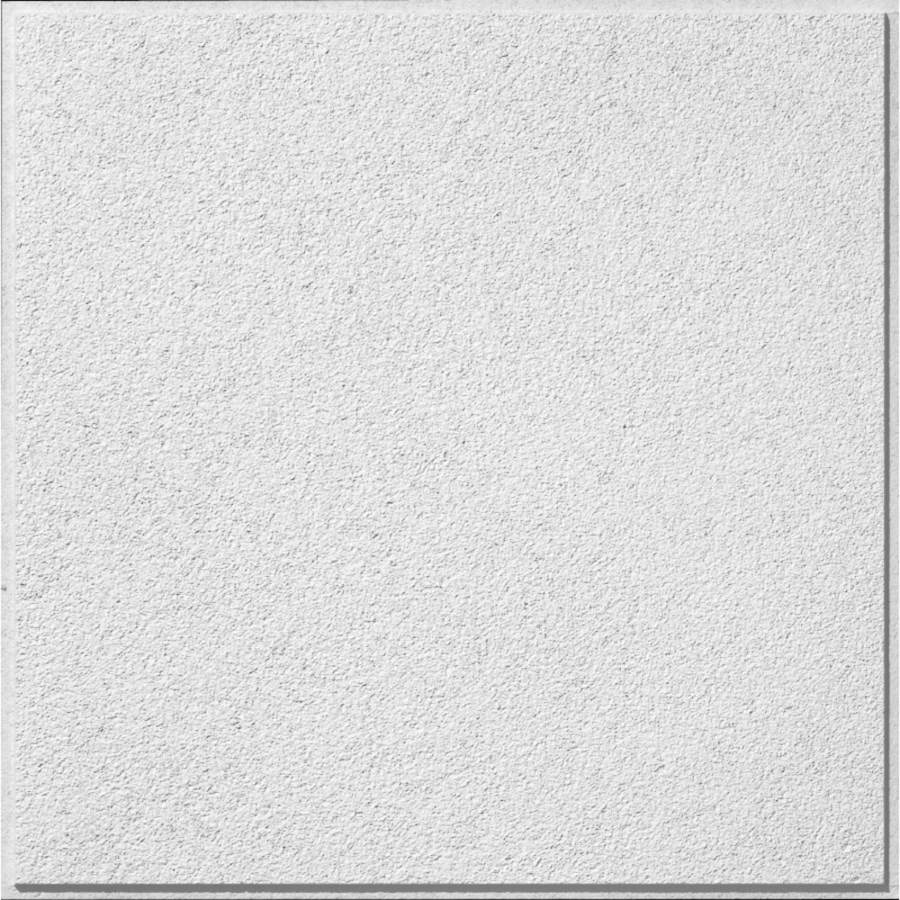 Armstrong 12 Pack Classic Fine Textured Contractor Ceiling Tile