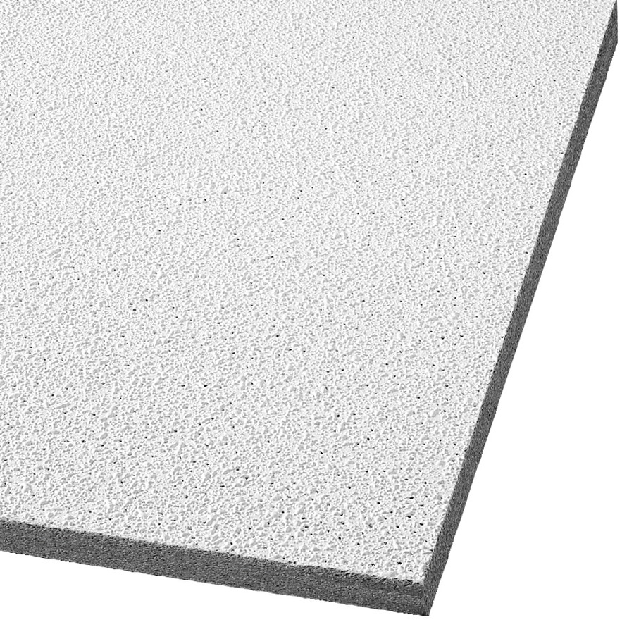 Armstrong Georgian 12 Pack White Textured 15 16 In Drop
