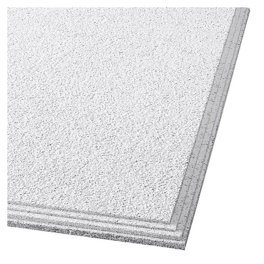 Armstrong 24 X 24 Cirrus Profile Classic Step Ceiling Tile Panel