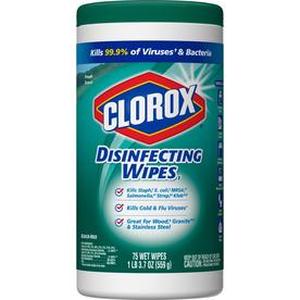 UPC 044600016566 product image for Clorox Disinfecting Wipes 75-Count Fresh All-Purpose Cleaner | upcitemdb.com