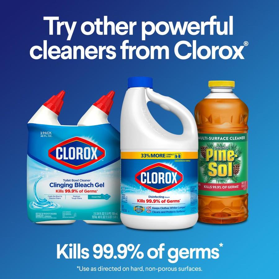 Clorox Pro Results Outdoor Bleach For Cleaning 121 Oz Bottle In The Bleach Department At Lowes Com