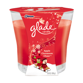 UPC 046500757471 product image for Glade 3.8-oz Apple Cinnamon Christmas Jar Candle | upcitemdb.com