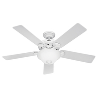 Hunter Grand Lodge Ceiling Fan Private