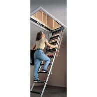 ladder ladder