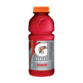 UPC 052000328660 product image for Gatorade 20-fl oz Fruit Punch Sports Drink | upcitemdb.com