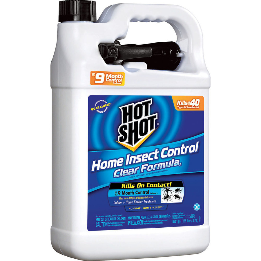 Shop Hot Shot 128 Oz Hot Shot Home Insect Control Ready To Use At
