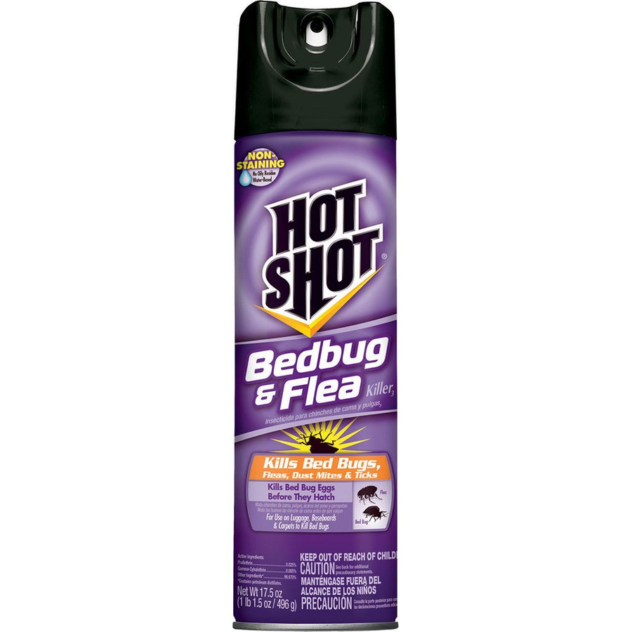 Shop Hot Shot 17.5-oz Bed Bug Aerosol Spray at Lowes.com