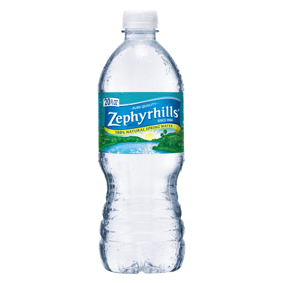 Shop Zephyrhills 28Pack 20fl oz Spring Water at