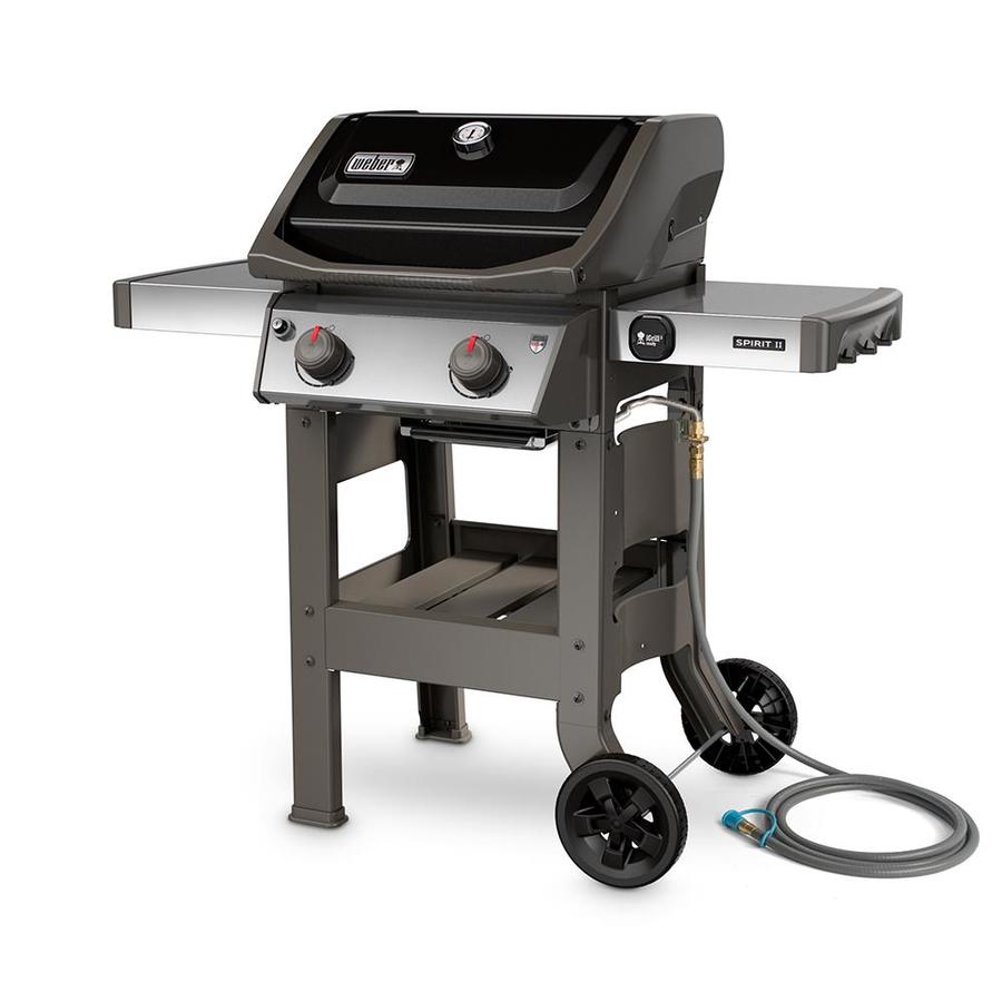 best 2 burner grill