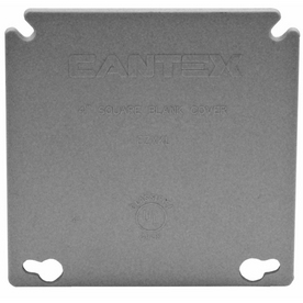 UPC 088700020160 product image for CANTEX 2-Gang Rectangle Plastic Electrical Box Cover | upcitemdb.com