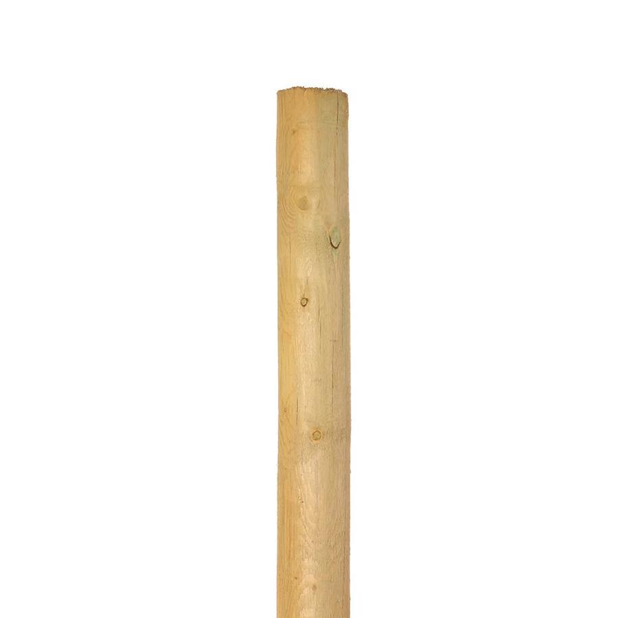 Round Pressure Treated Wood Fence Post (Common 8 ft; Actual 8 ft)