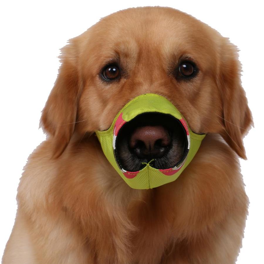 designer dog muzzles