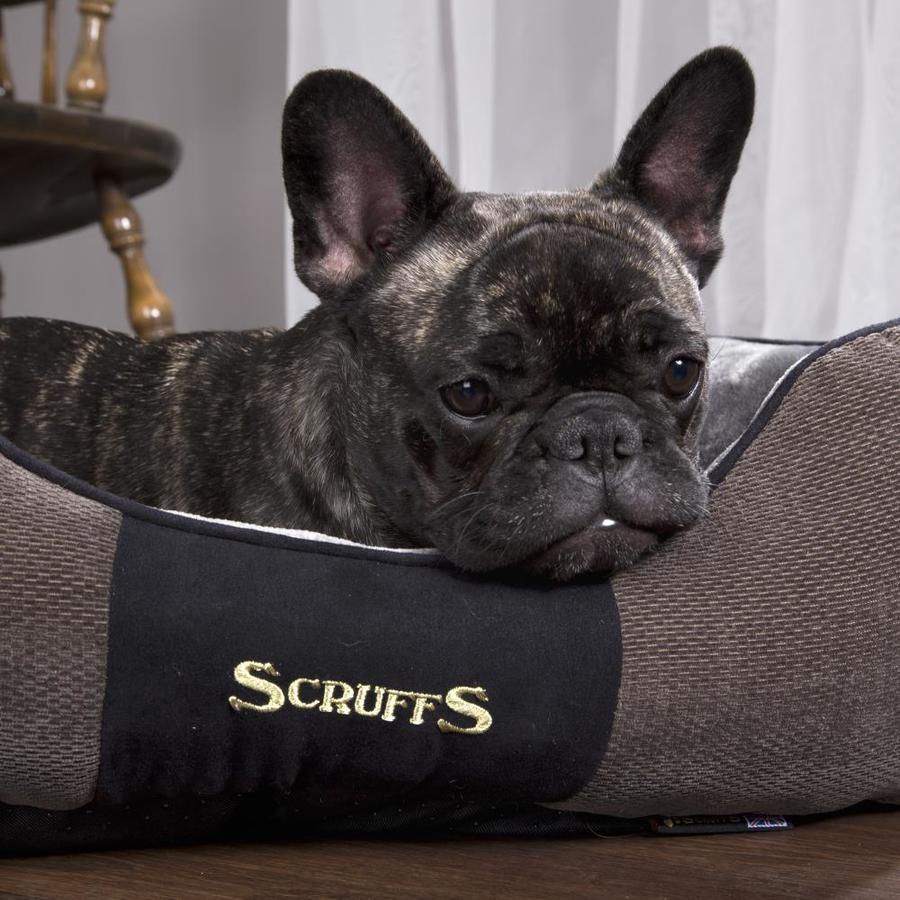 scruffs dog bed xl