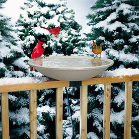 Shop Birds Choice Heated 1-Tier Outdoor Birdbath at Lowes.com