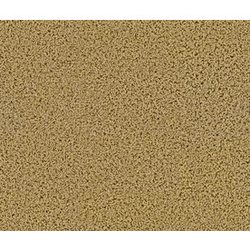 Shop STAINMASTER Appealing Dublin Frieze Indoor Carpet at Lowes.com