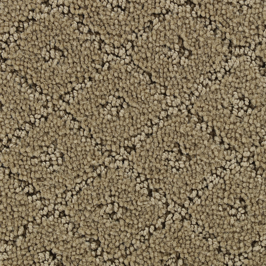 STAINMASTER Active Family Dazzling Gordon Fashion Forward Indoor Carpet