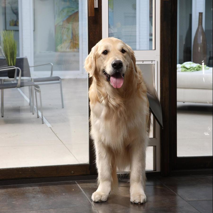 lowes petsafe dog door