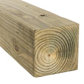 Shop #2 Pressure Treated Lumber (Common: 6 x 6 x 12; Actual: 5.5-in x 5