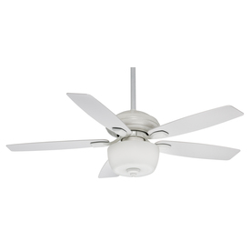 Ceiling Fan With Light