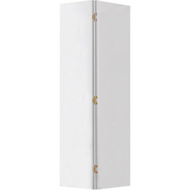 ReliaBilt 36" x 80" Flush Hollow Core Composite Interior Bifold Closet Door