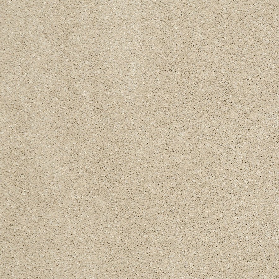 Shop STAINMASTER Trusoft Luscious Ii (S) Store Style Sandstone 