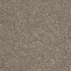 shop shaw essentials stock carpet brown textured indoor shop shaw essentials stock carpet brown textured indoor