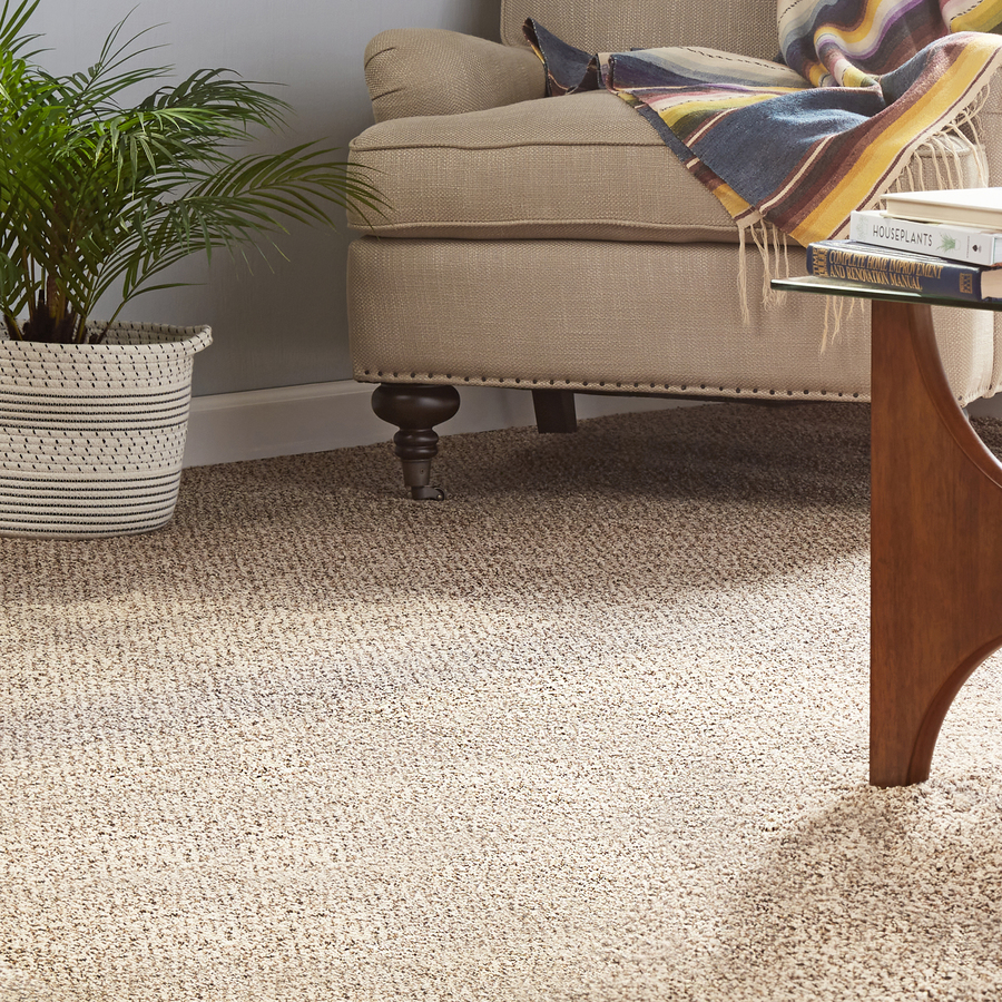 Mohawk Roll Bar Brown Beige Berber Loop Carpet Interior In The Carpet Department At Lowes Com