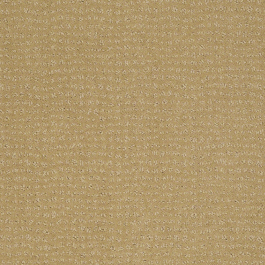STAINMASTER Active Family Undisputed Summer Melon Berber Indoor Carpet