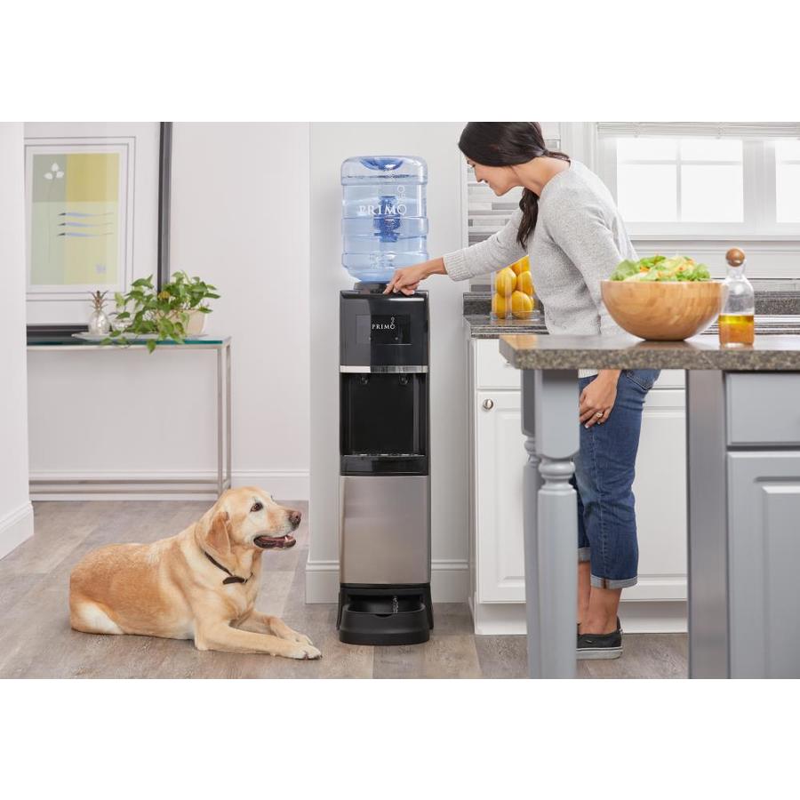 primo dog water dispenser