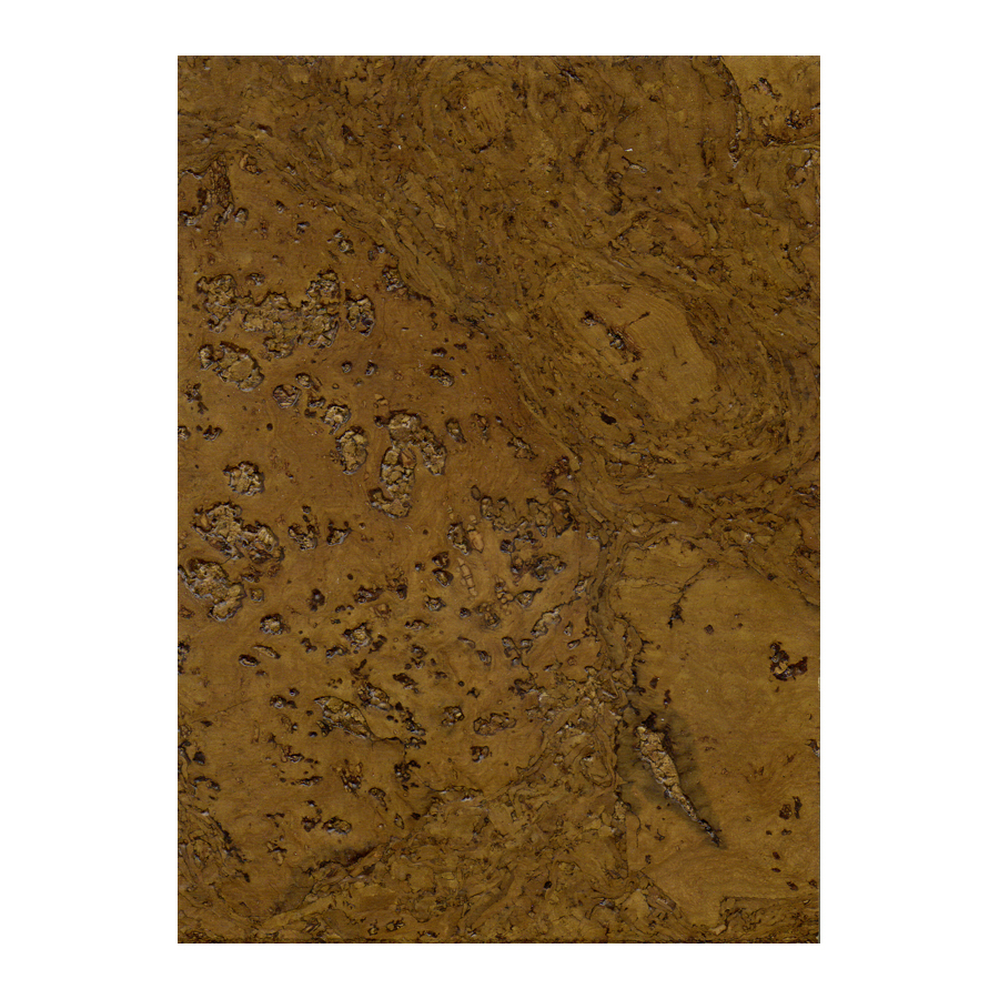 top 28 locking cork flooring shop natural floors by usfloors 0 41 in cork locking 10 5 mm top 28 locking cork flooring shop natural floors by usfloors 0 41 in cork locking 10 5 mm