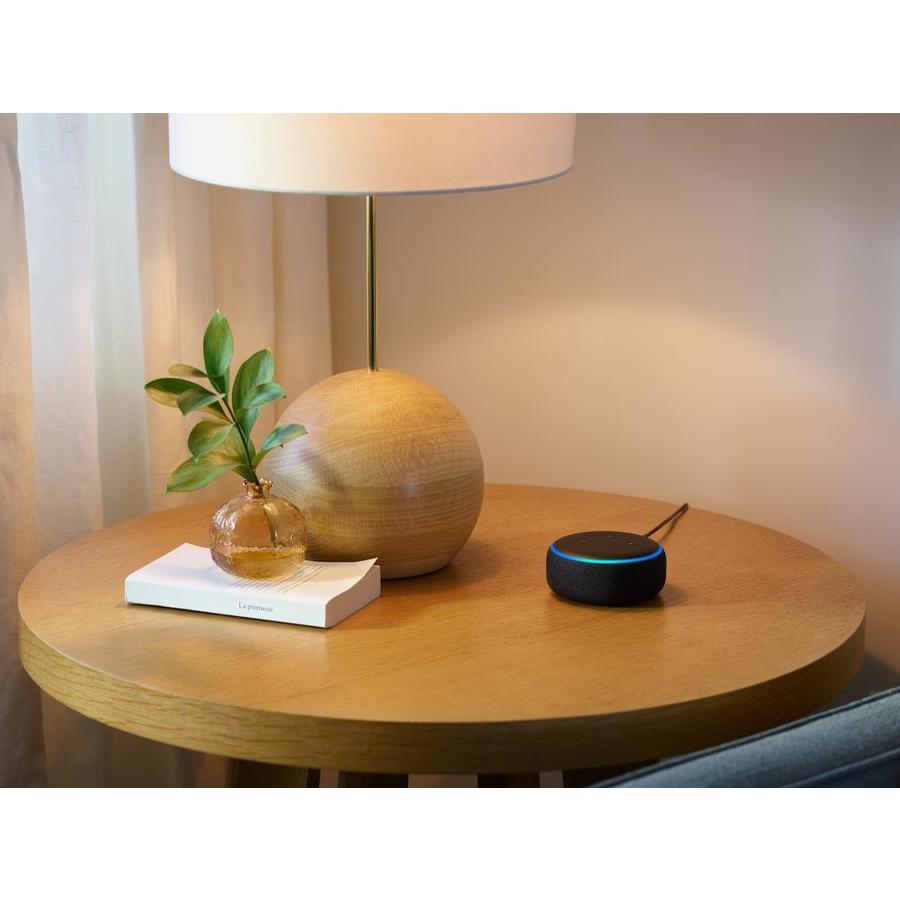 echo dot with ring doorbell 2