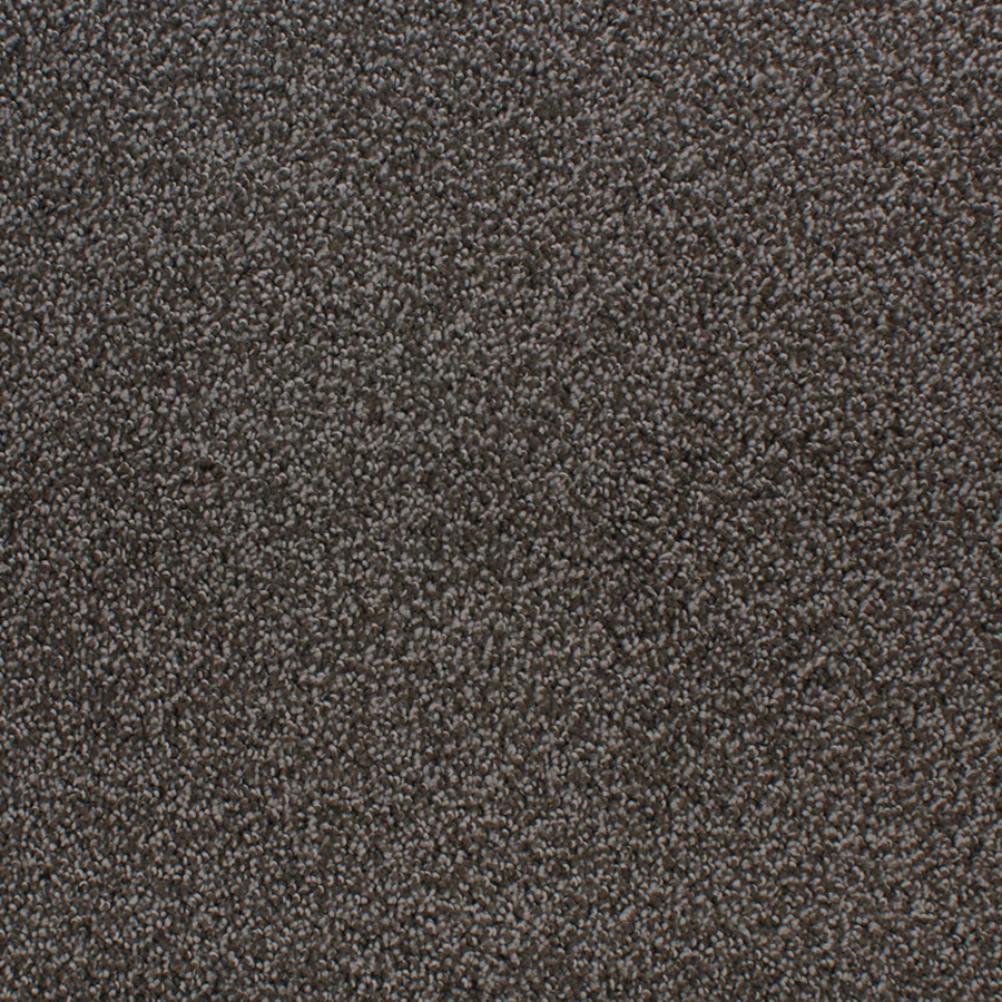 STAINMASTER Active Family Oak Grove Brown/Tan Cut and Loop Indoor Carpet