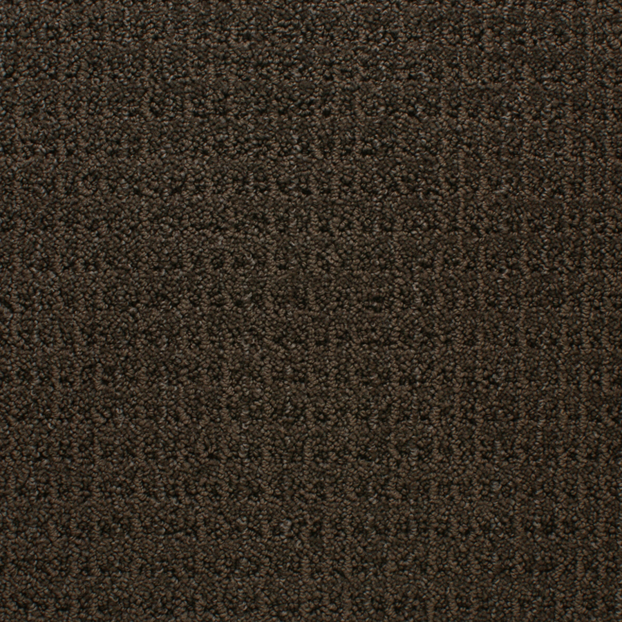 STAINMASTER Active Family Royal Livingstone Brown Level Loop Pile Indoor Carpet