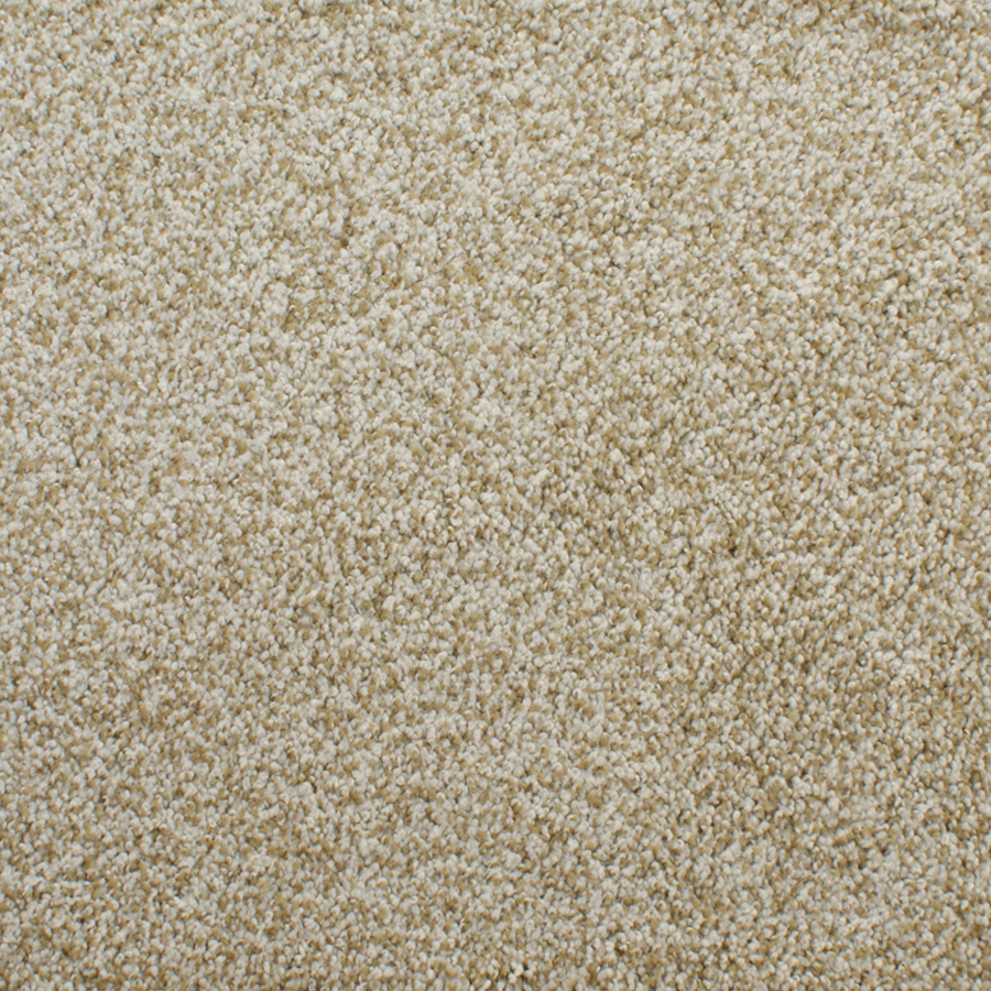 STAINMASTER Active Family Huntington Heights Brown Textured Indoor Carpet