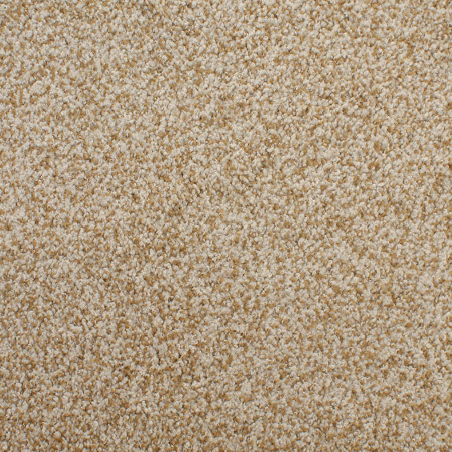 STAINMASTER Active Family Huntington Heights Brown Textured Indoor Carpet