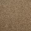 STAINMASTER Active Family Huntington Heights Brown/Tan Textured Indoor Carpet