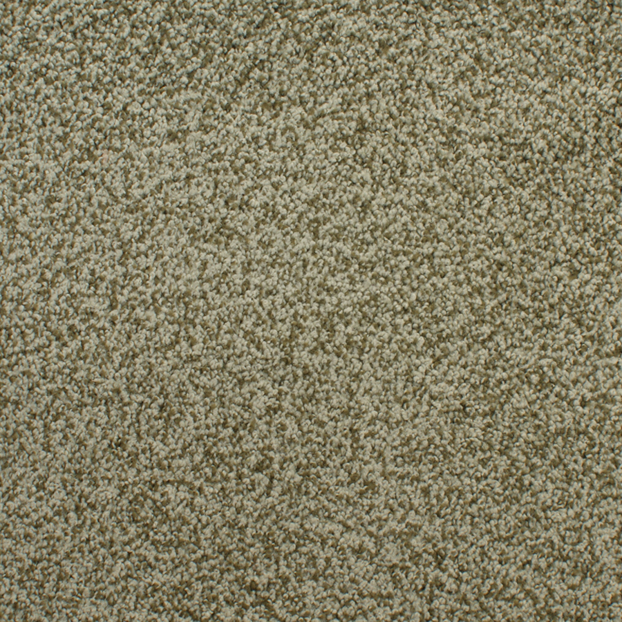 STAINMASTER Active Family Huntington Heights Green Textured Indoor Carpet