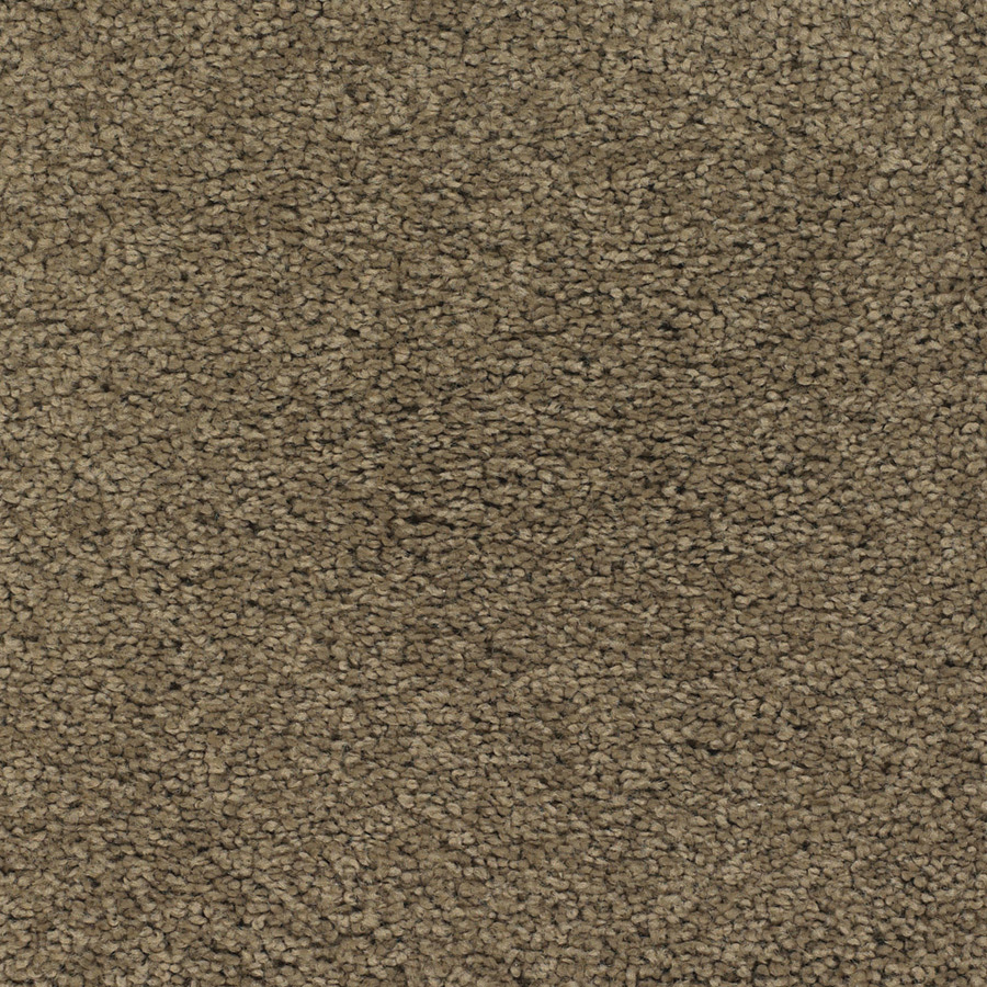 Dixie Group Trusoft Chimney Rock Brown Textured Indoor Carpet