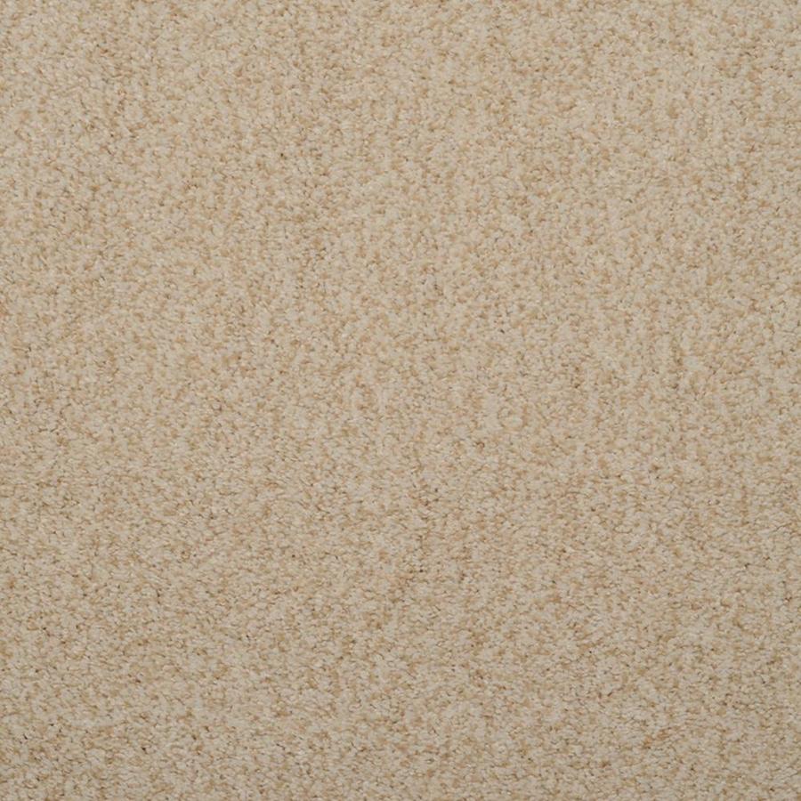 Dixie Group Luminosity Cream Textured Indoor Carpet