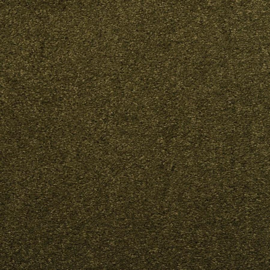 Dixie Group Luminosity Brown Textured Indoor Carpet