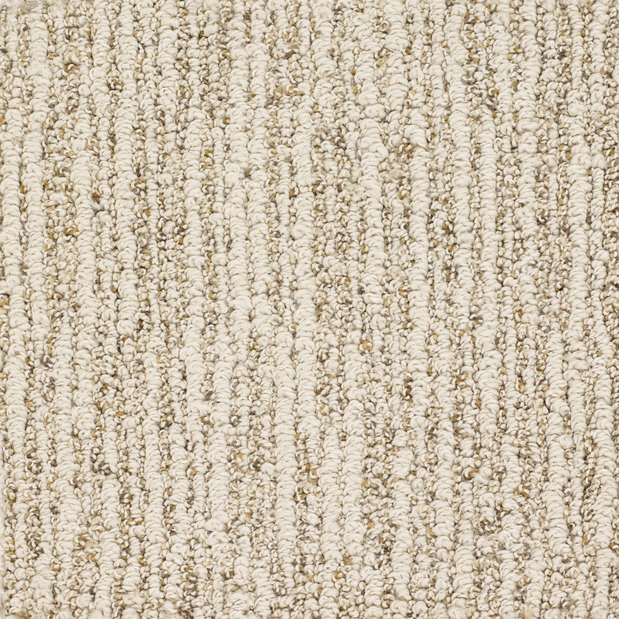 Dixie Group Trusoft Sequoia Grove Cream Fashion Forward Indoor Carpet