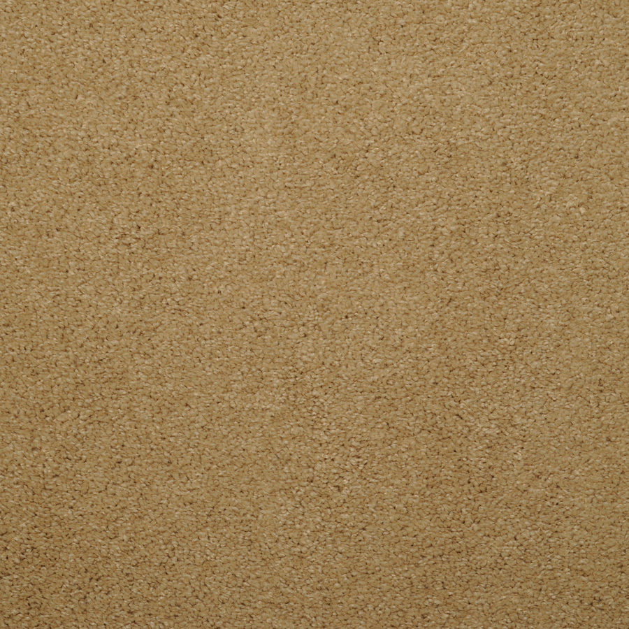 Dixie Group Trusoft Levity Brown Textured Indoor Carpet